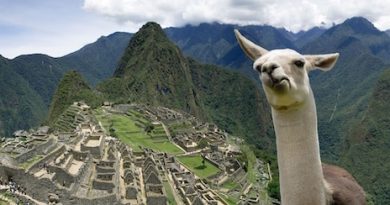 Machu picchu agencias